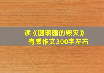 读《圆明园的毁灭》有感作文300字左右