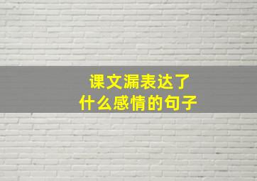 课文漏表达了什么感情的句子