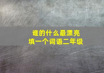 谁的什么最漂亮填一个词语二年级