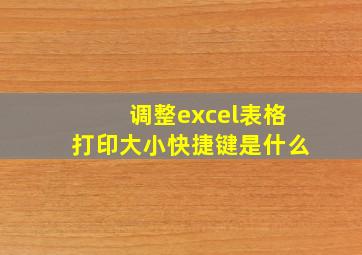 调整excel表格打印大小快捷键是什么