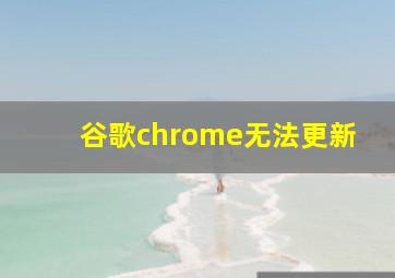 谷歌chrome无法更新