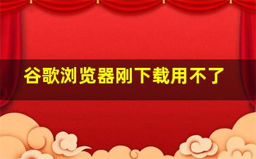 谷歌浏览器刚下载用不了