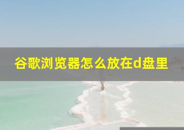 谷歌浏览器怎么放在d盘里