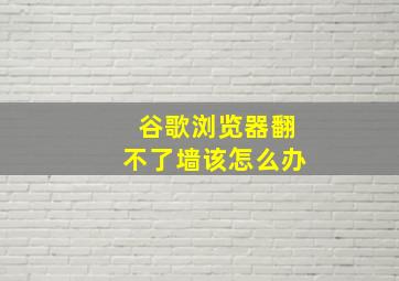 谷歌浏览器翻不了墙该怎么办