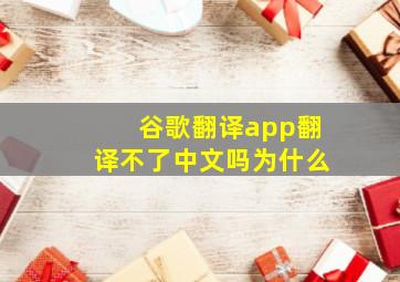 谷歌翻译app翻译不了中文吗为什么