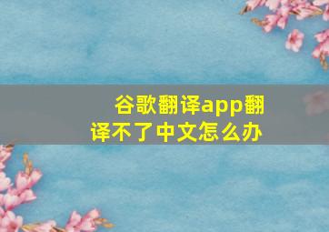 谷歌翻译app翻译不了中文怎么办