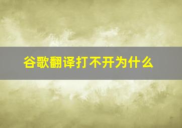 谷歌翻译打不开为什么