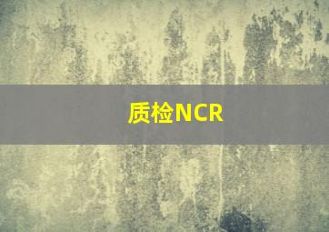 质检NCR