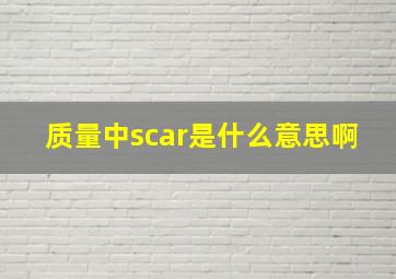 质量中scar是什么意思啊