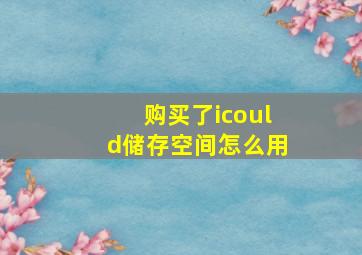 购买了icould储存空间怎么用