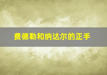 费德勒和纳达尔的正手