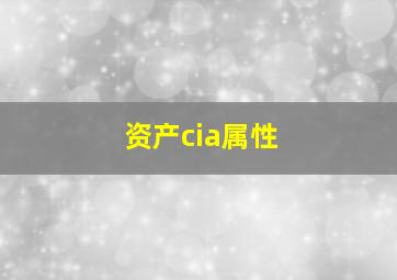 资产cia属性