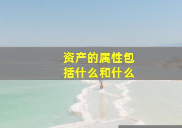 资产的属性包括什么和什么