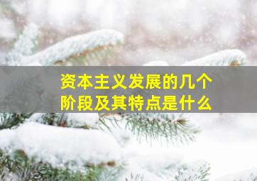 资本主义发展的几个阶段及其特点是什么