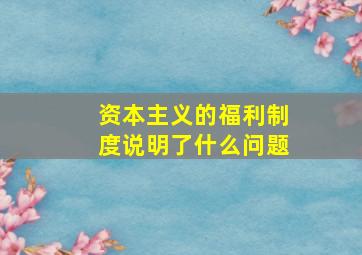 资本主义的福利制度说明了什么问题