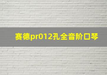 赛德pr012孔全音阶口琴