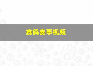 赛鸽赛事视频