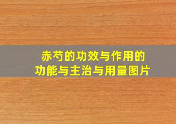 赤芍的功效与作用的功能与主治与用量图片