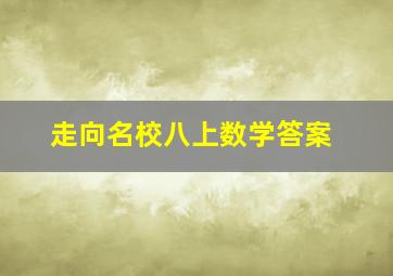 走向名校八上数学答案