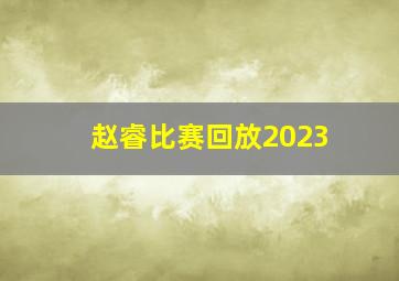 赵睿比赛回放2023