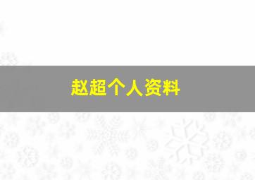 赵超个人资料