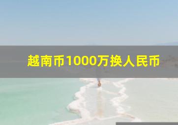 越南币1000万换人民币