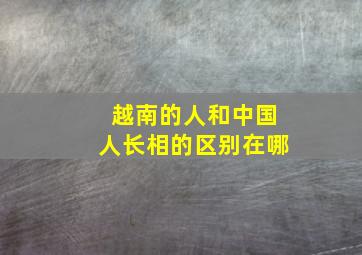 越南的人和中国人长相的区别在哪