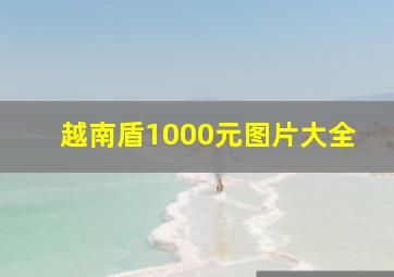 越南盾1000元图片大全