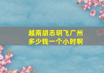 越南胡志明飞广州多少钱一个小时啊