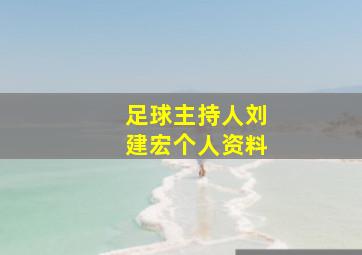 足球主持人刘建宏个人资料