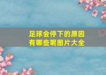 足球会停下的原因有哪些呢图片大全