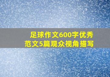 足球作文600字优秀范文5篇观众视角描写