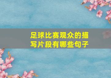 足球比赛观众的描写片段有哪些句子