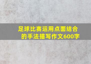 足球比赛运用点面结合的手法描写作文600字