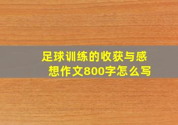 足球训练的收获与感想作文800字怎么写