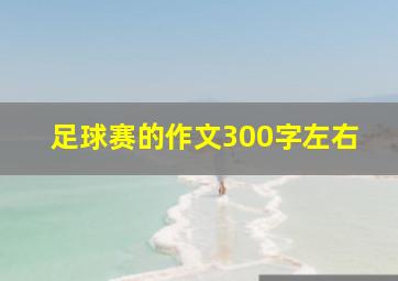 足球赛的作文300字左右