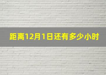 距离12月1日还有多少小时