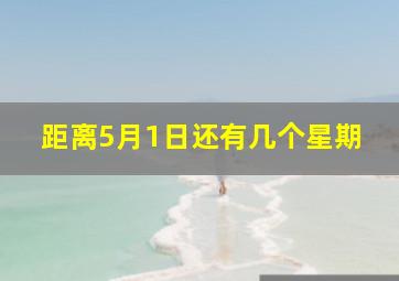 距离5月1日还有几个星期