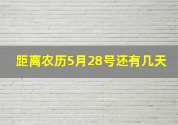 距离农历5月28号还有几天