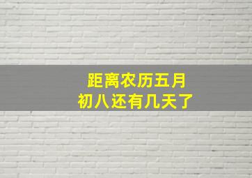 距离农历五月初八还有几天了