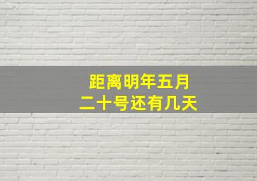 距离明年五月二十号还有几天