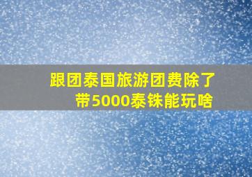 跟团泰国旅游团费除了带5000泰铢能玩啥