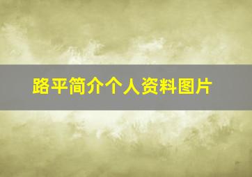 路平简介个人资料图片