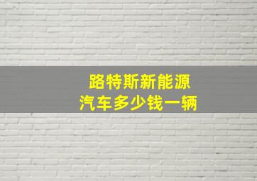 路特斯新能源汽车多少钱一辆