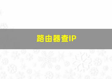 路由器查IP