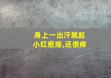 身上一出汗就起小红疙瘩,还很痒