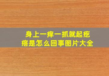 身上一痒一抓就起疙瘩是怎么回事图片大全