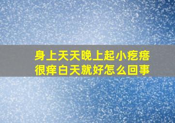 身上天天晚上起小疙瘩很痒白天就好怎么回事