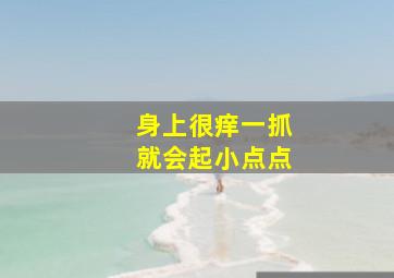 身上很痒一抓就会起小点点