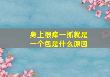 身上很痒一抓就是一个包是什么原因